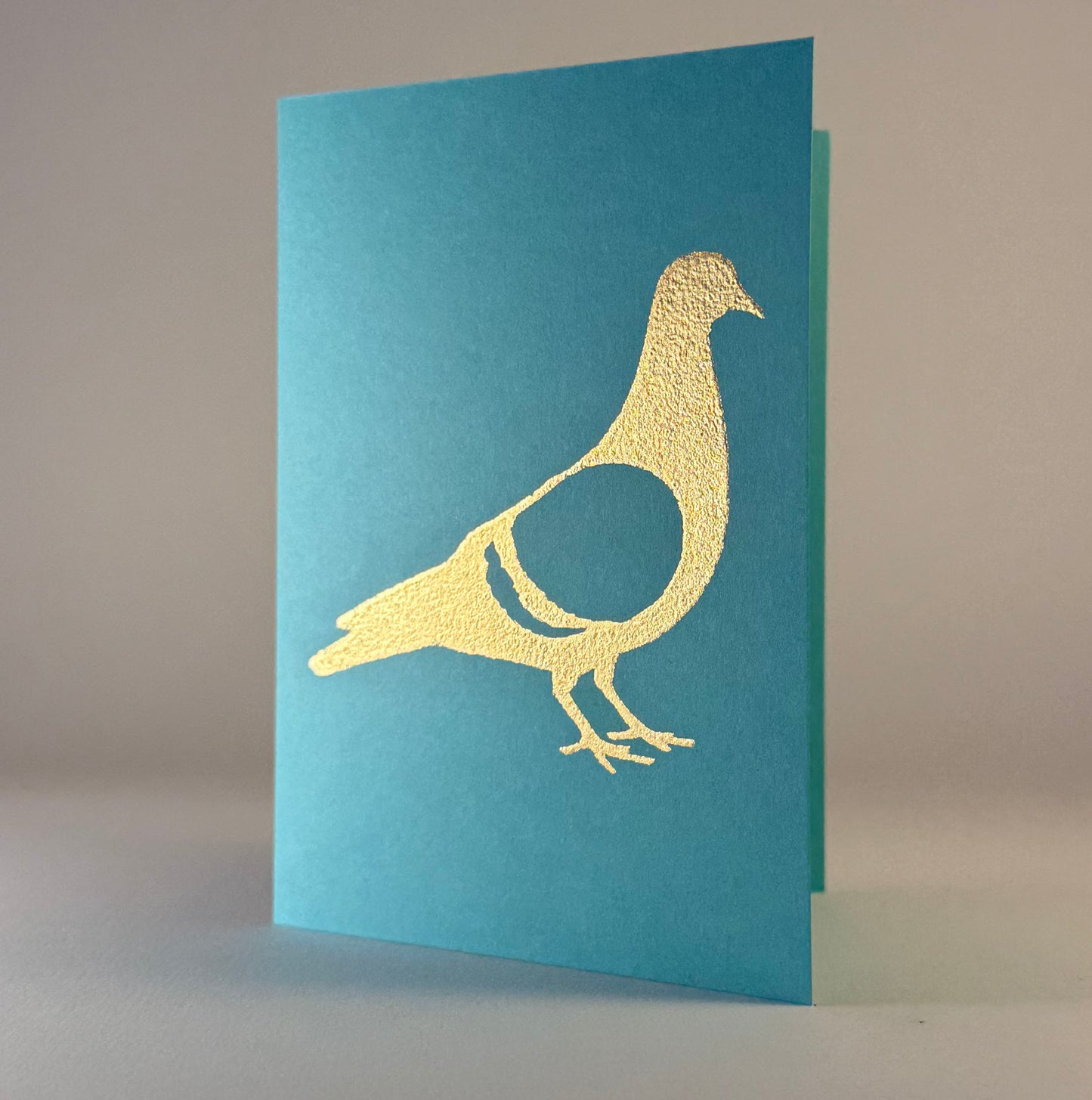Bird 41 - Pigeon on Blue Raspberry