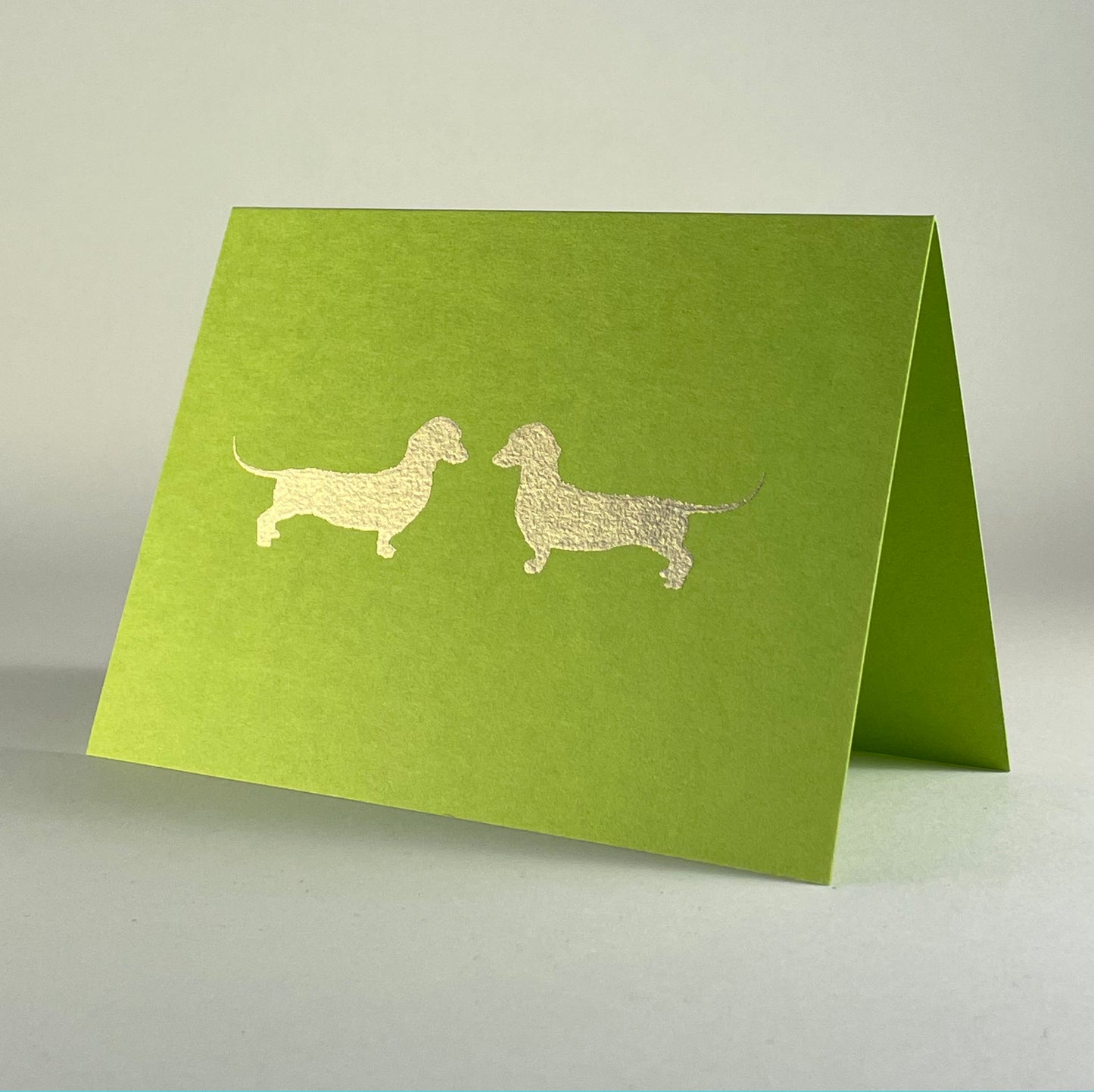 Dog 11 - Dachshunds on Sour Apple