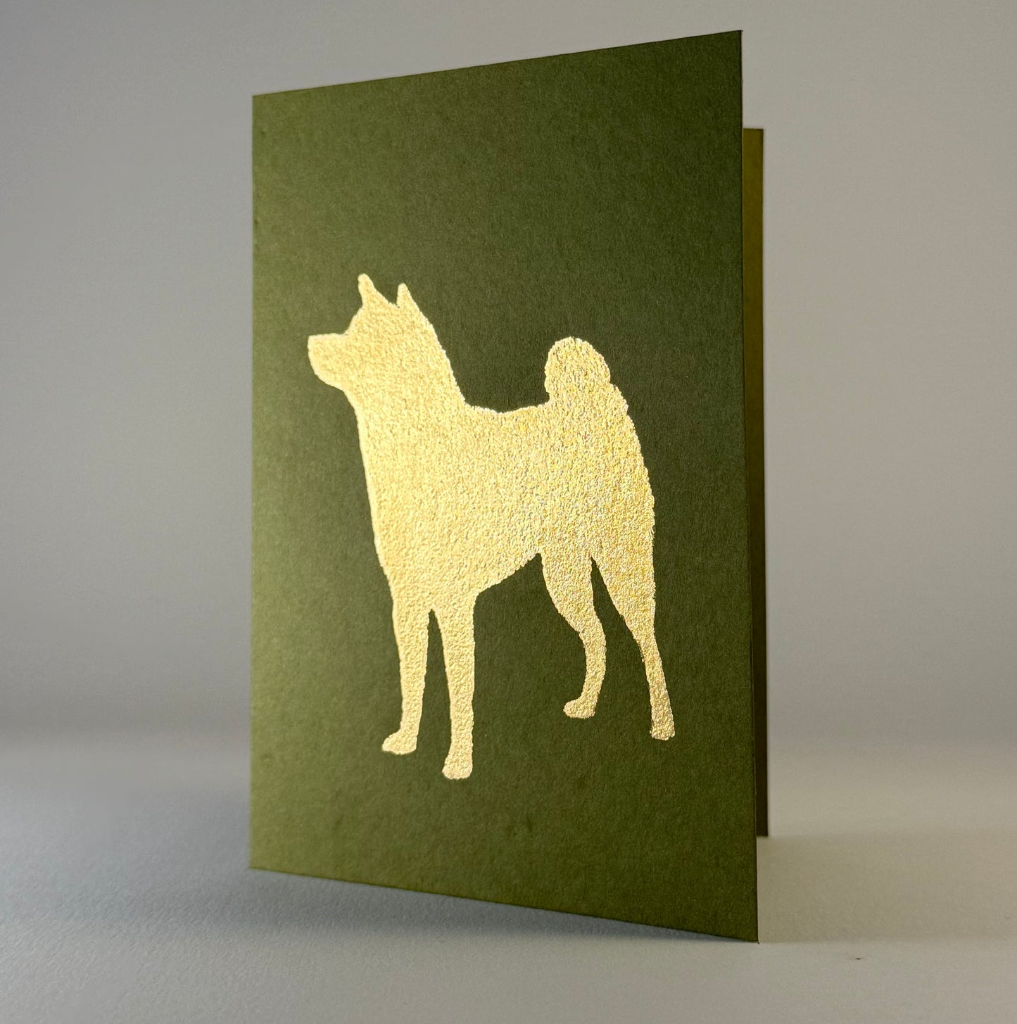 Dog 30 - Chow on Jelly Bean Green