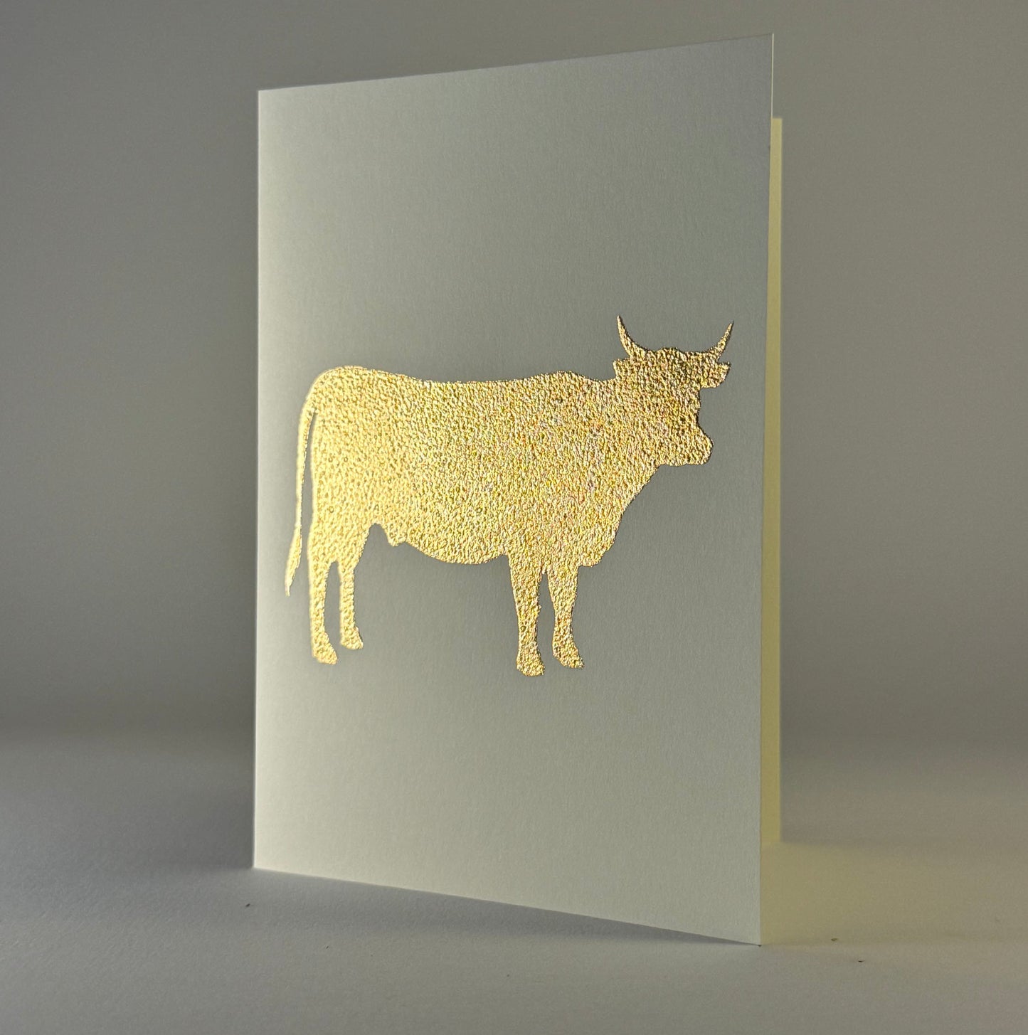 Farm 16 - Bull on Ivory
