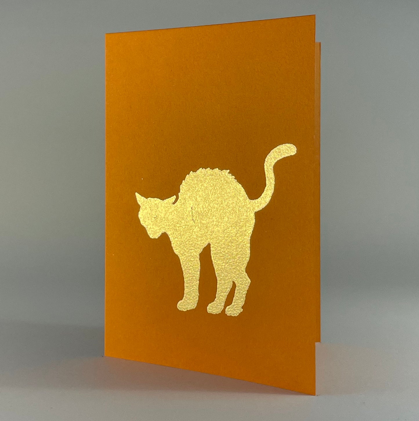 Halloween 5 - Cat on Orange Fizz