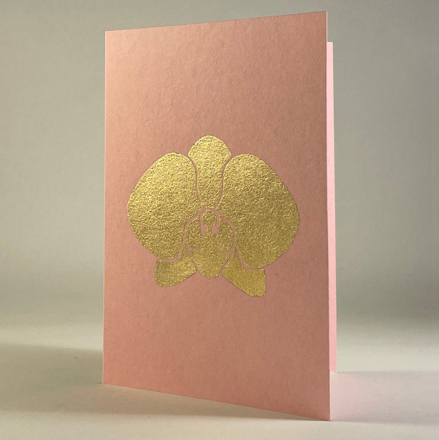 Leaf 18 - Phalaenopsis on Pink Lemonade