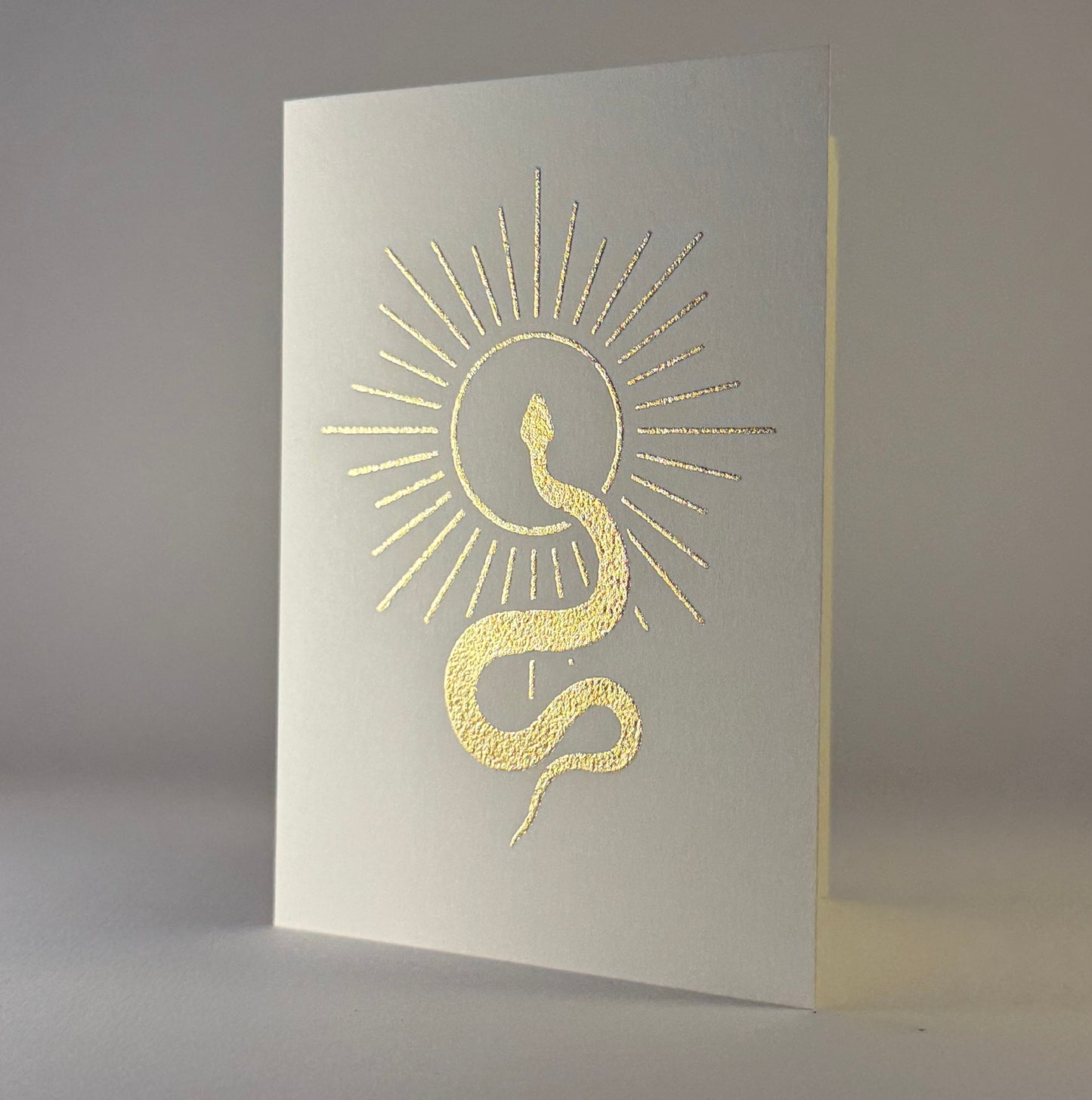 Southwest 22 - Snake and Sun on Ivory