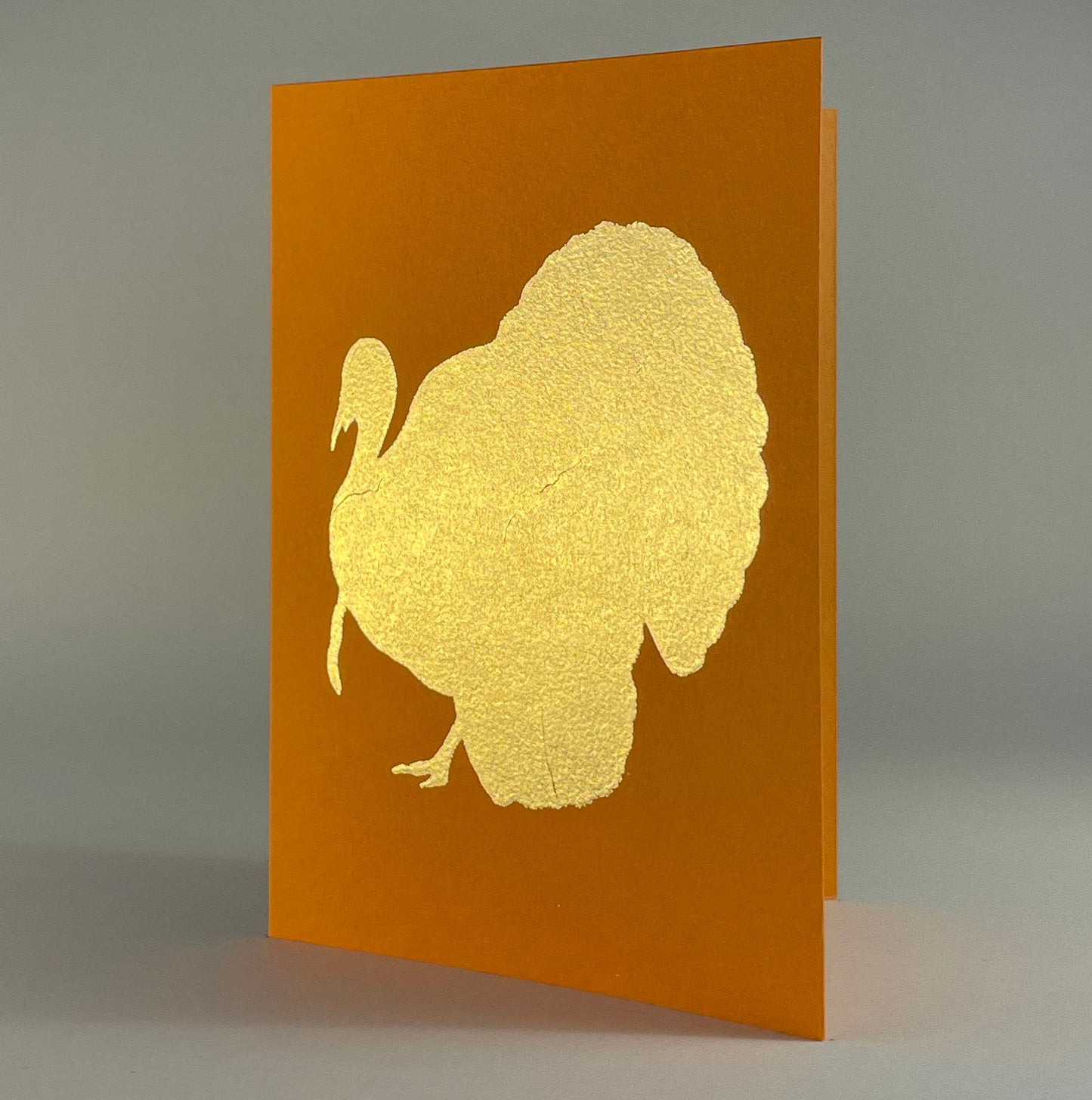 Bird 21 - Turkey on Orange Fizz