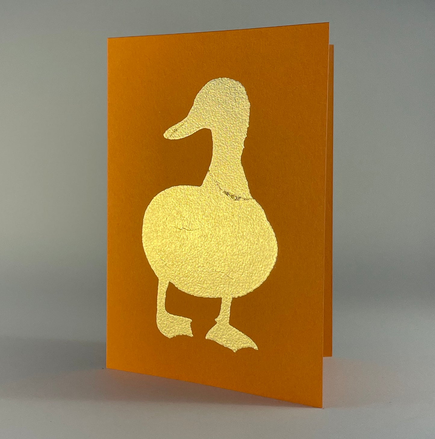 Bird 25 - Duck on Orange Fizz