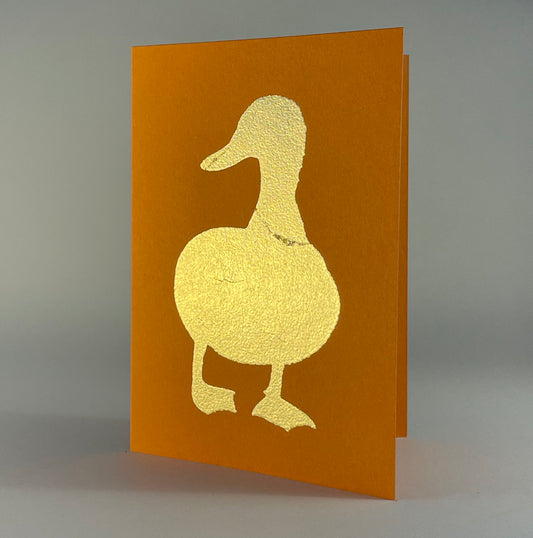 Bird 25 - Duck on Orange Fizz