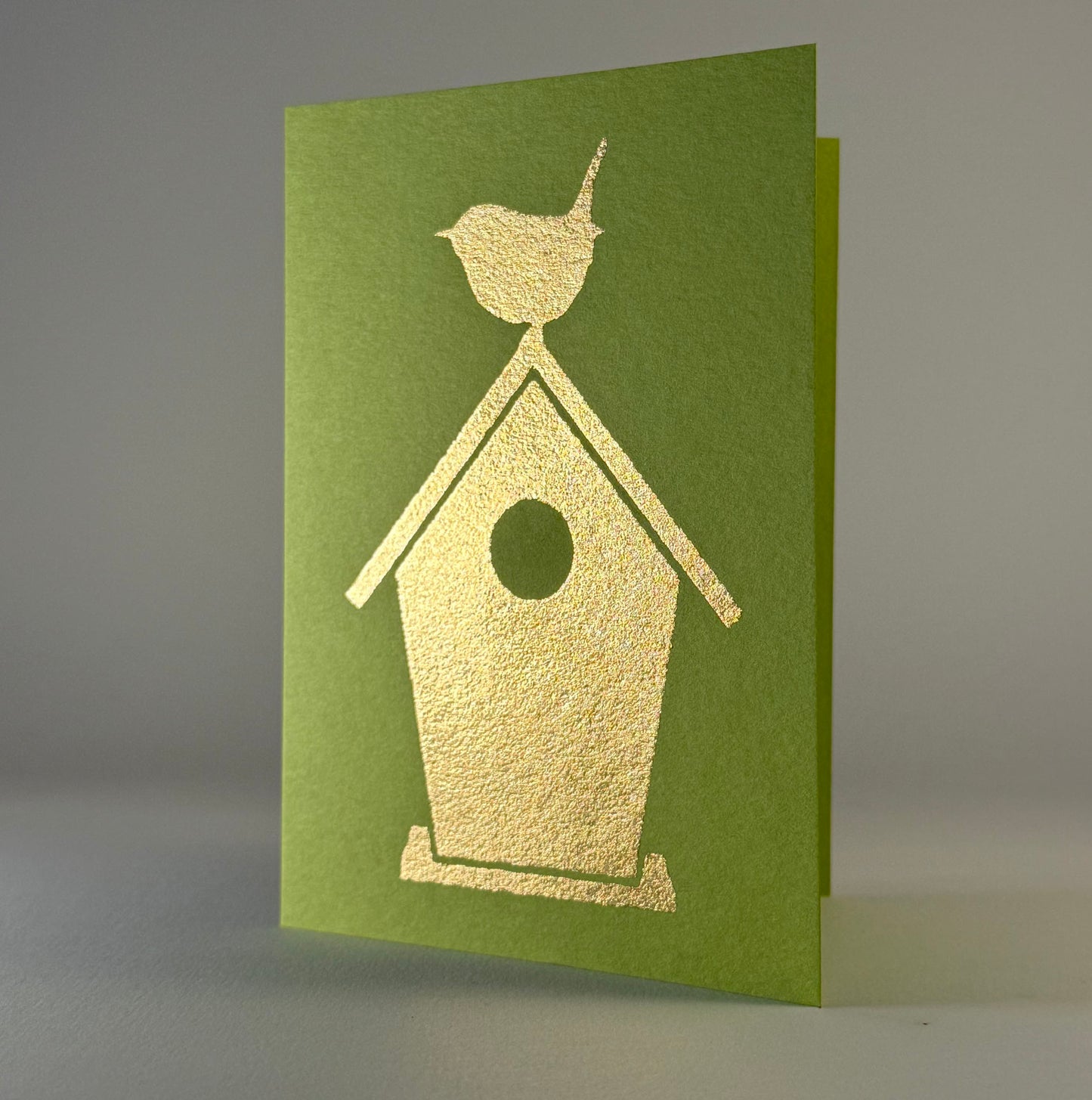 Bird 40 - Bird House on Sour Apple