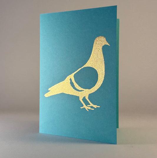 Bird 41 - Pigeon on Blue Raspberry