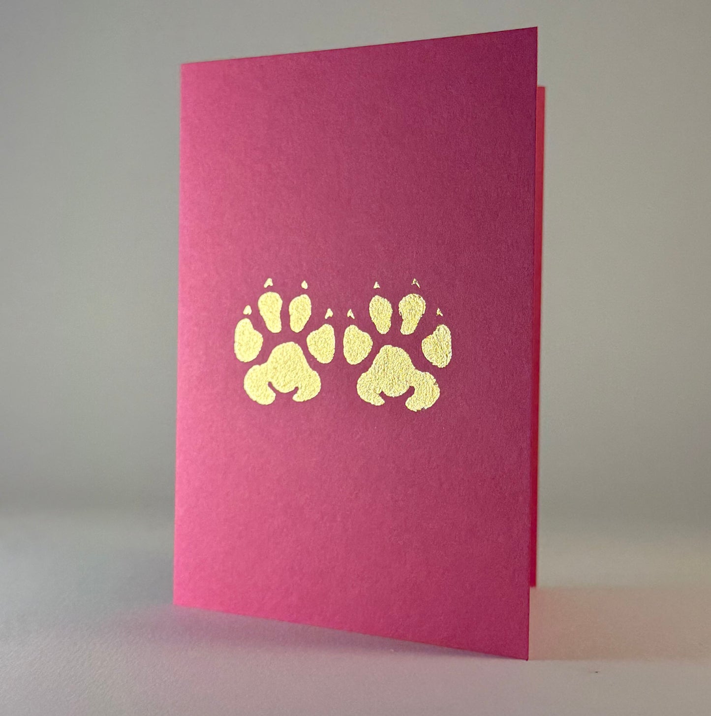 Cat 10 - Cat Paws on Razzleberry