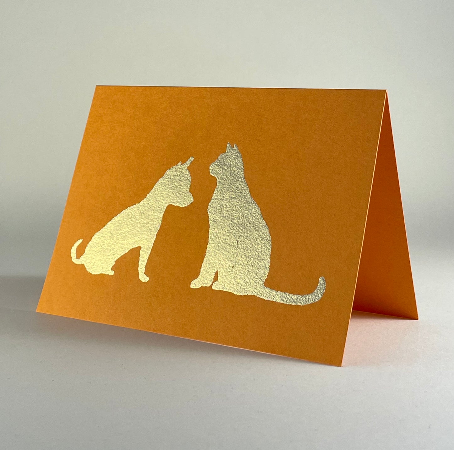 Dog 15 - Dog and Cat on Orange Fizz