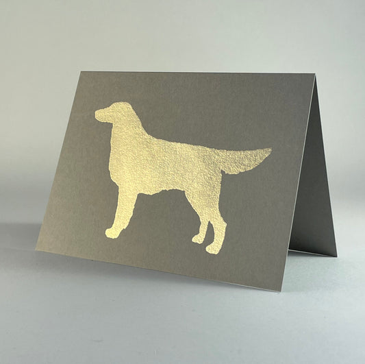 Dog 22 - Flat Coat on Grey