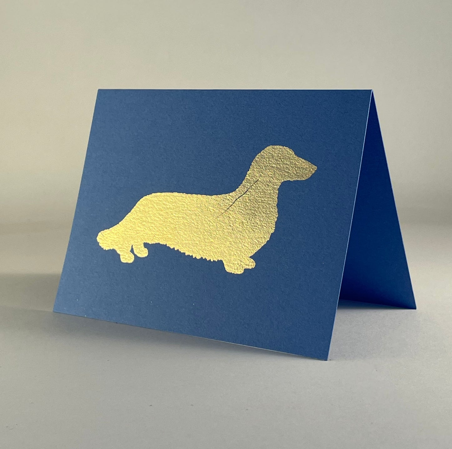 Dog 23 - Long Haired Dachshund on Blue