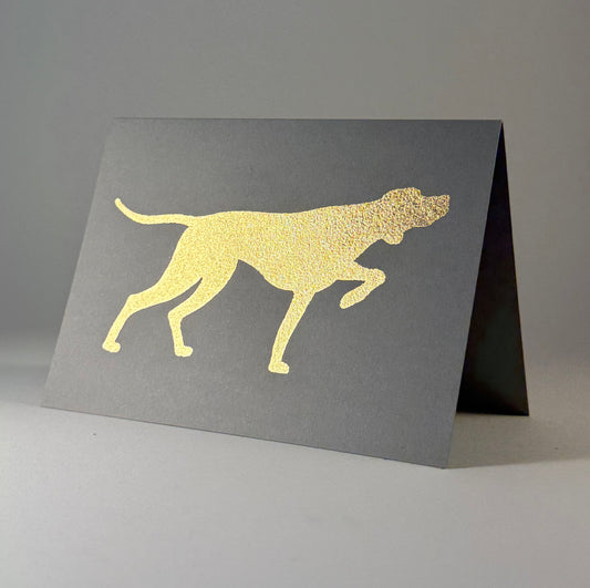Dog 28 - Pointer on Grey