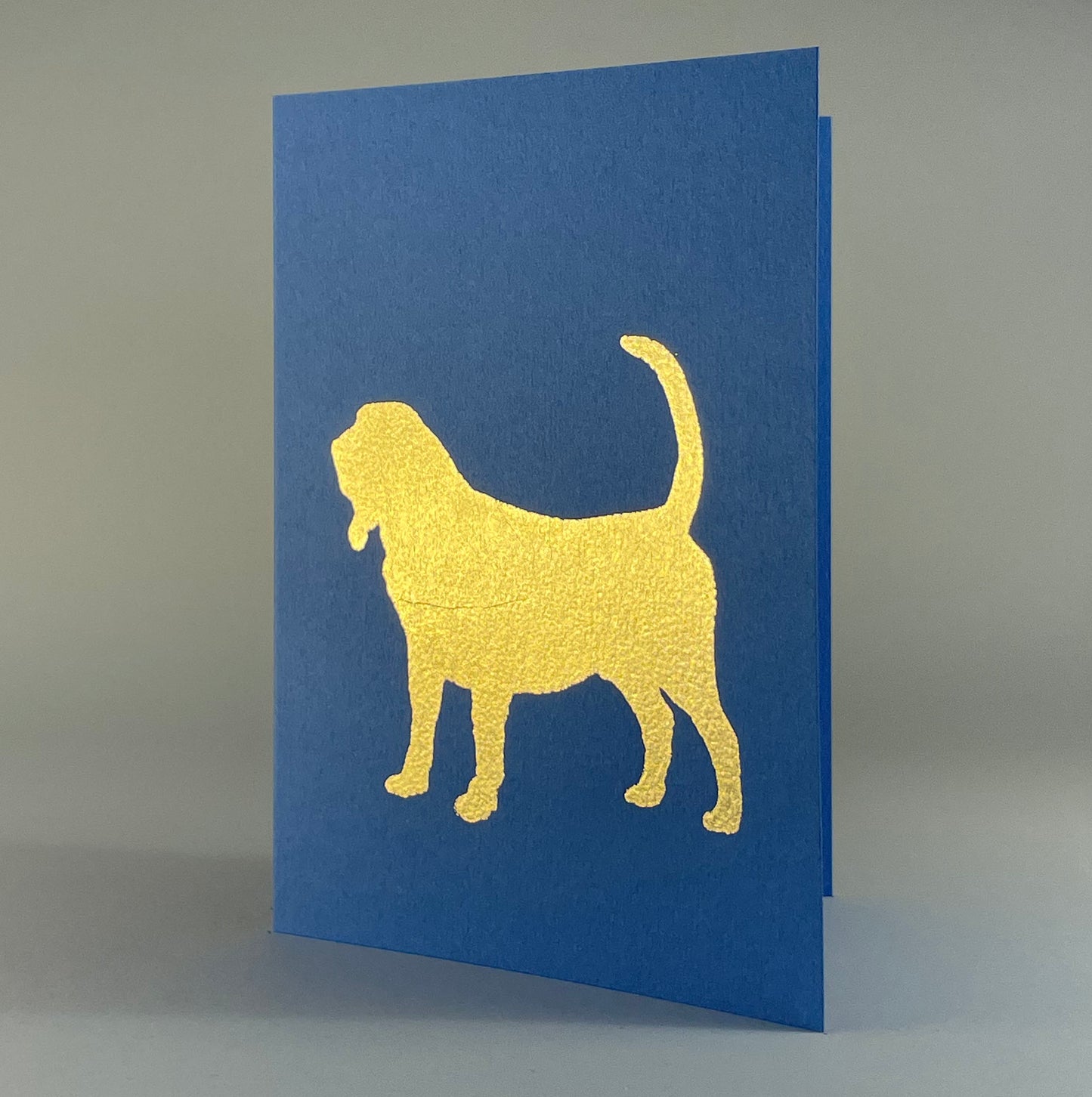 Dog 8 - Hound on Blue