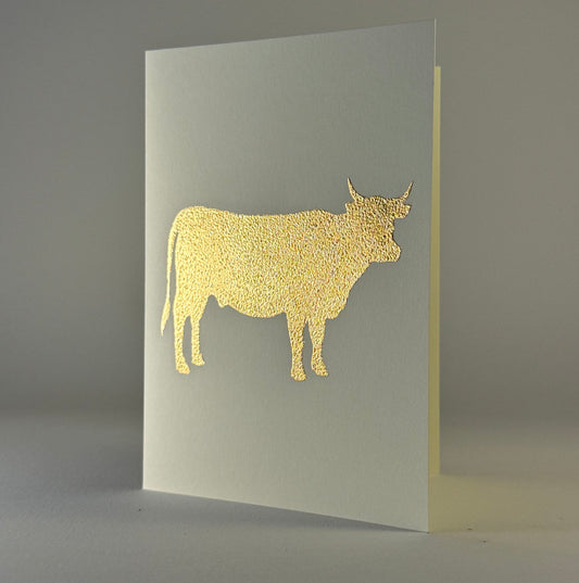 Farm 16 - Bull on Ivory