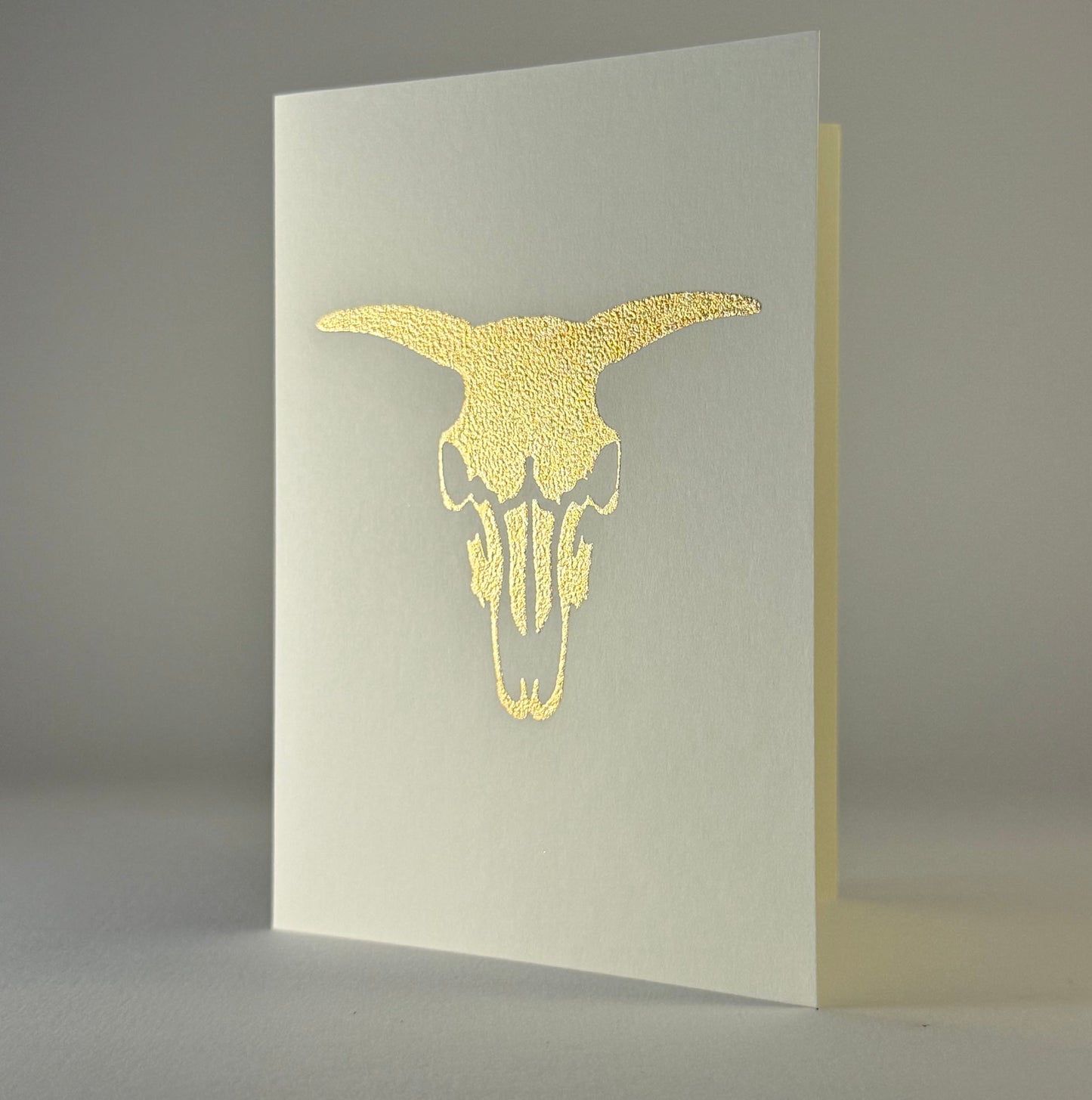 Farm 17 - Bull Skull on Ivory