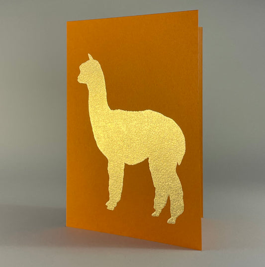 Farm 7 - Alpaca on Orange Fizz