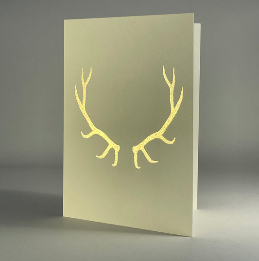 Forest 21 - Stag Horns on Ivory