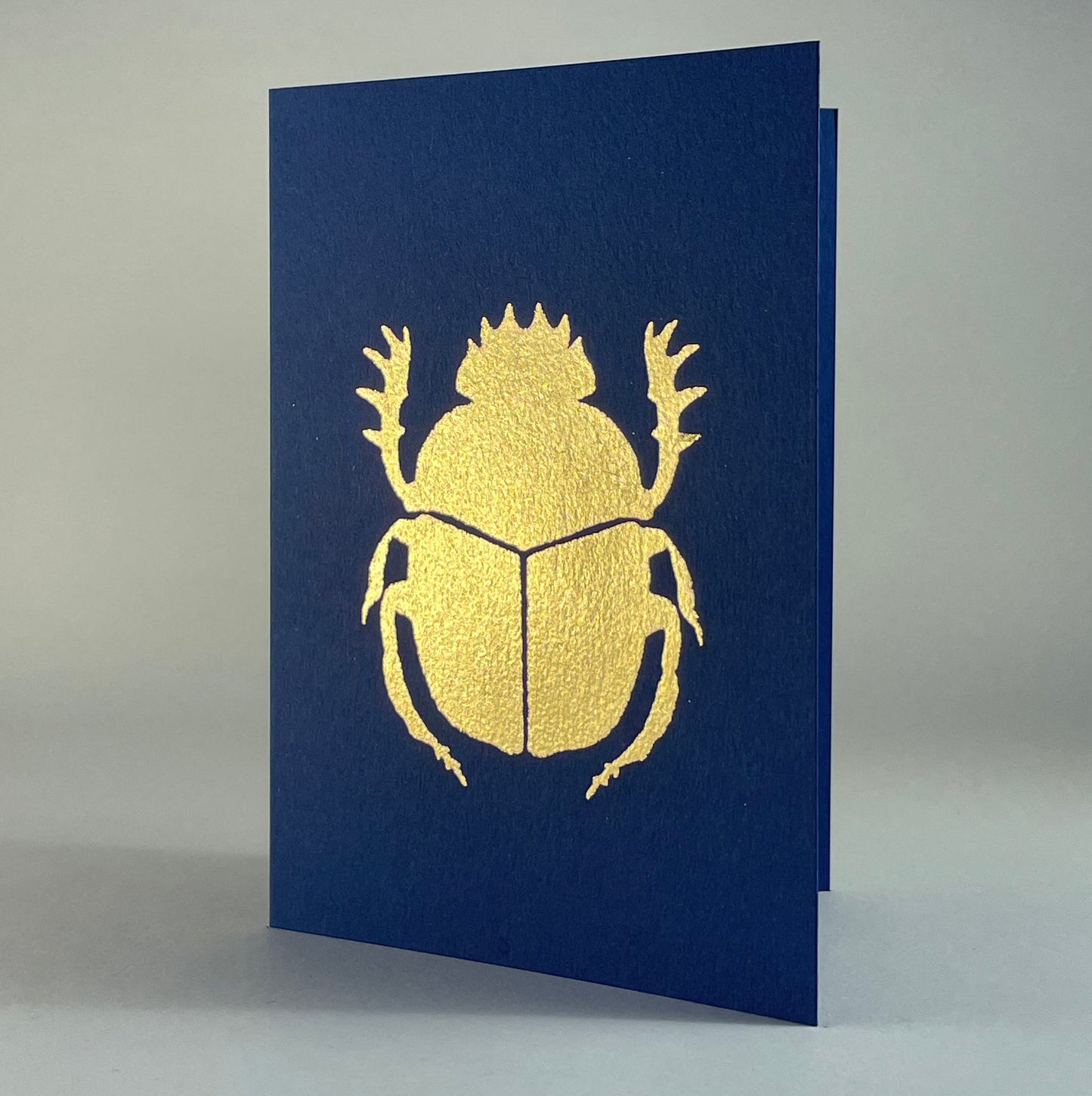 Insect 20 - Scarab Beetle on Navy