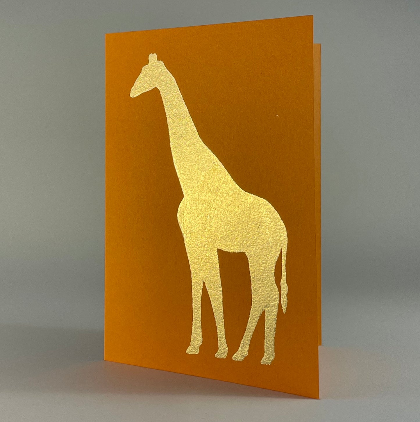 Jungle 3 - Giraffe on Orange Fizz