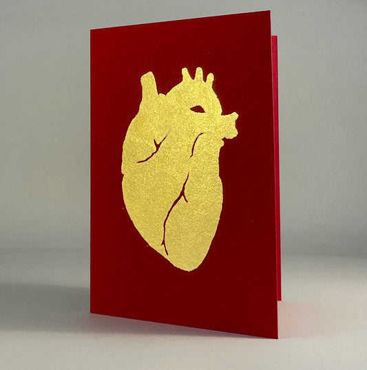 Love 16 - Anatomical Heart on Red