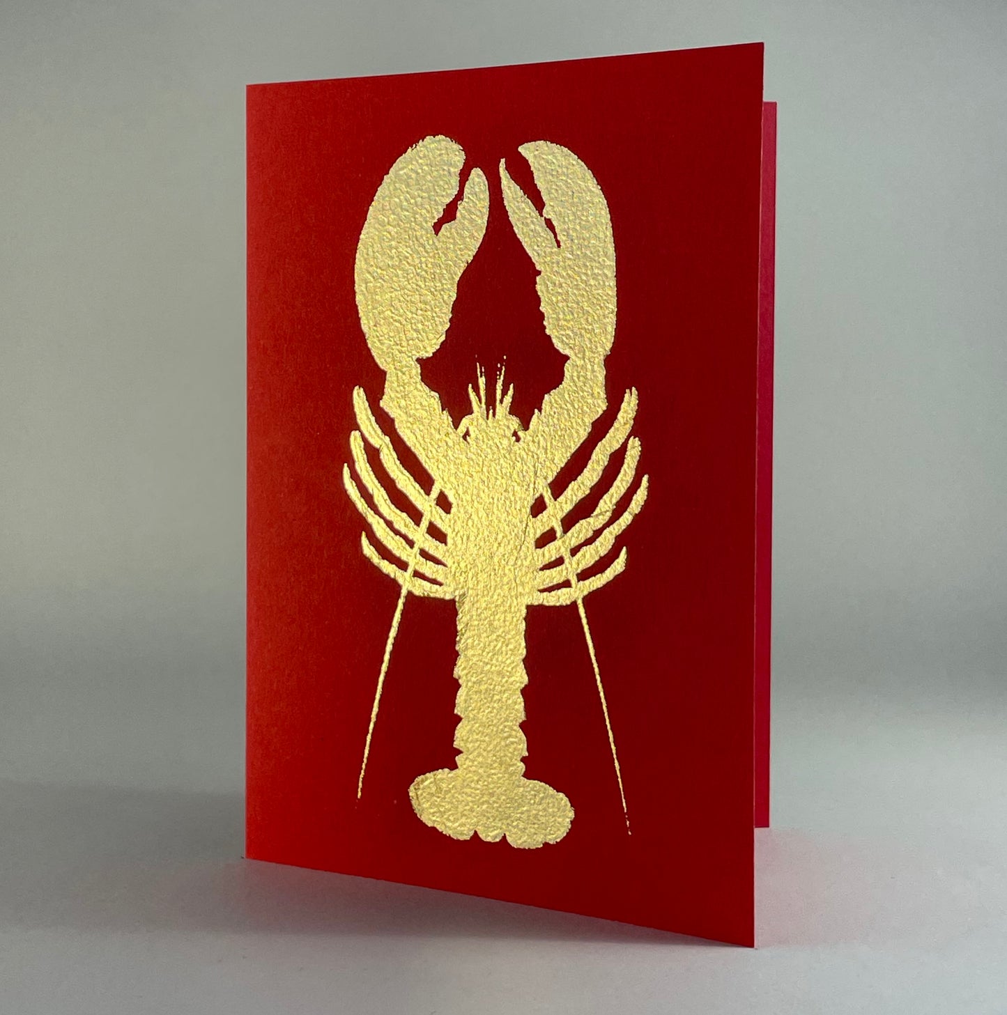 Ocean 46 - Maine Lobster on Red