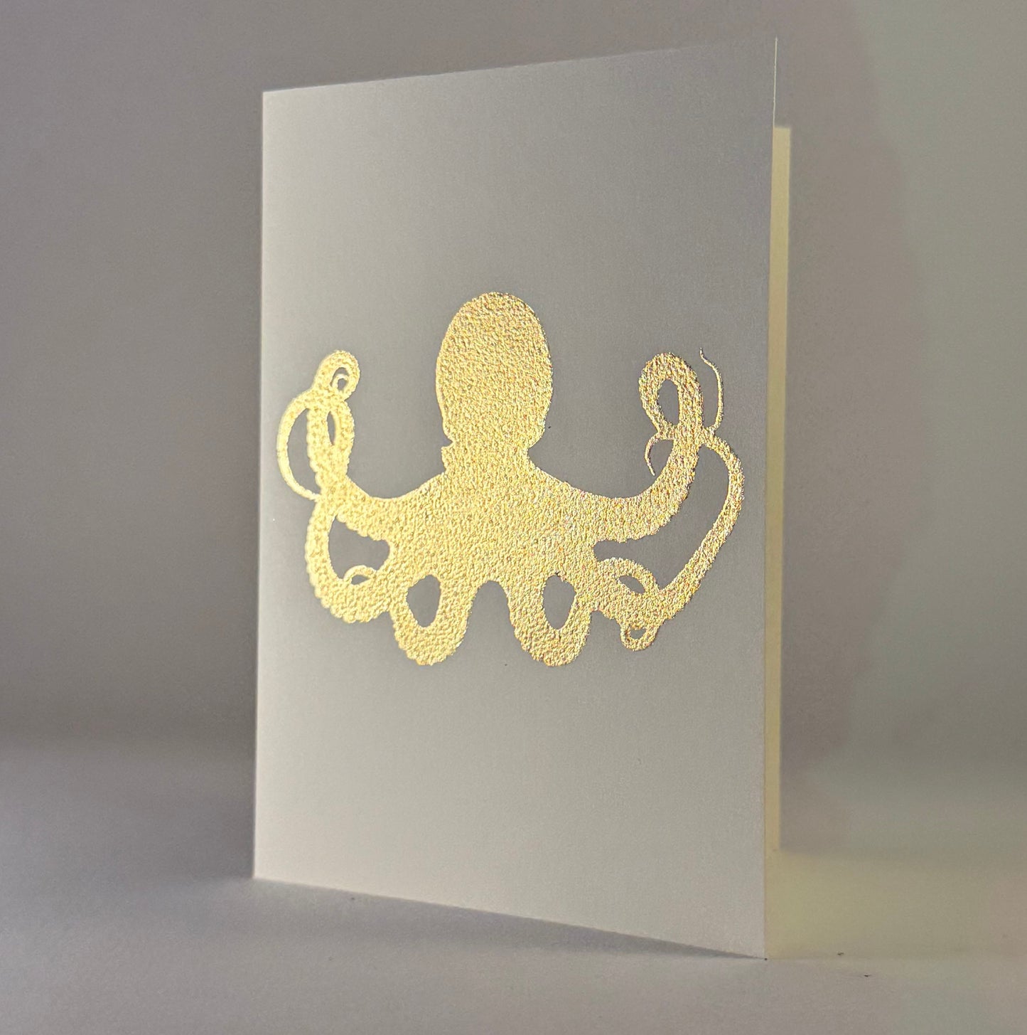 Ocean 52 - Octopus on Ivory