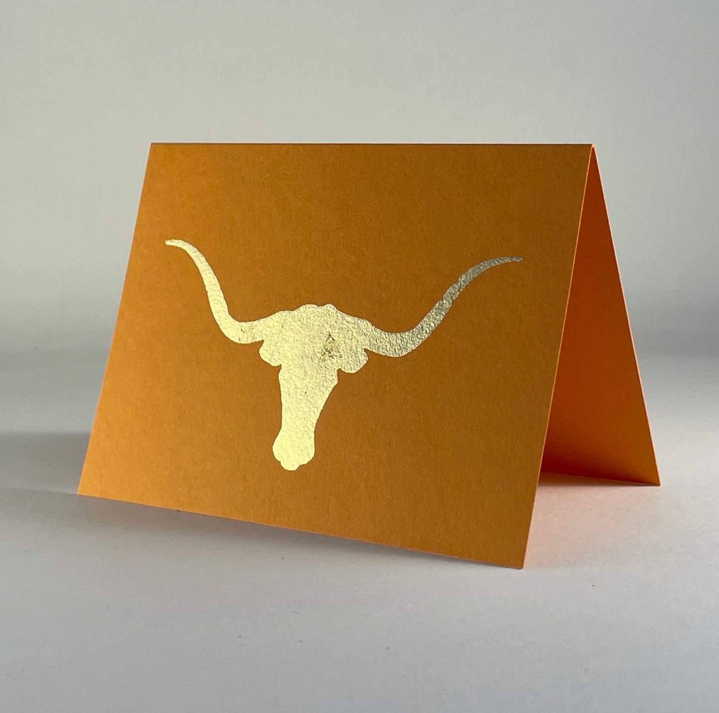 Random 40 - Texas Longhorn on Orange Fizz