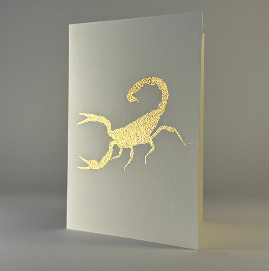 Southwest 23 - Scorpion on Ivory
